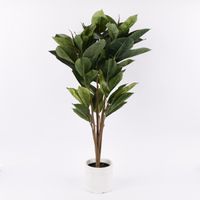 monstera monkey pflege Philodendron Monstera Monkey Mask - Monstera deliciosa monkey mask
